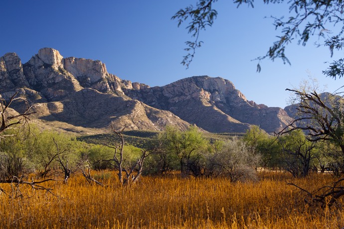 Catalina State park