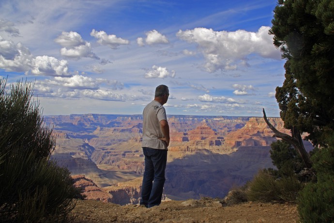 Ko bij de Grand Canyon