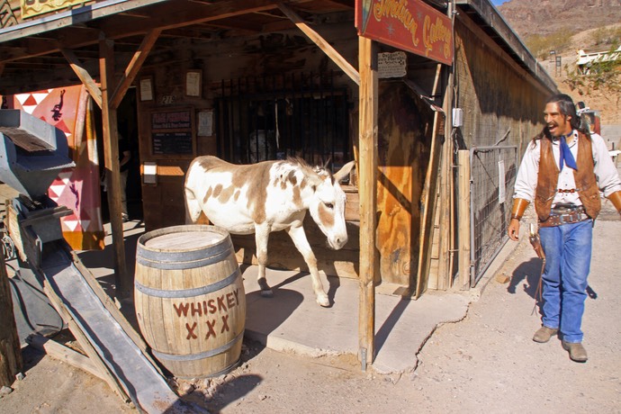 Ezels en Cowboys in Oatman