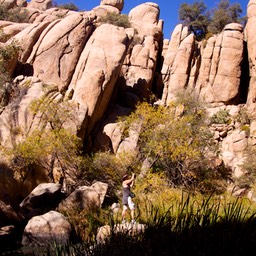 Watson Lake