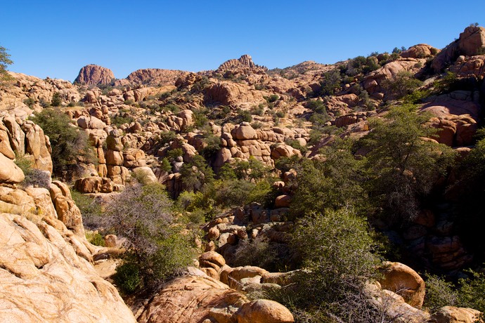 Watson Lake het achterland