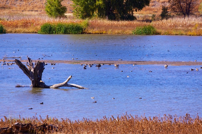 Watson Lake