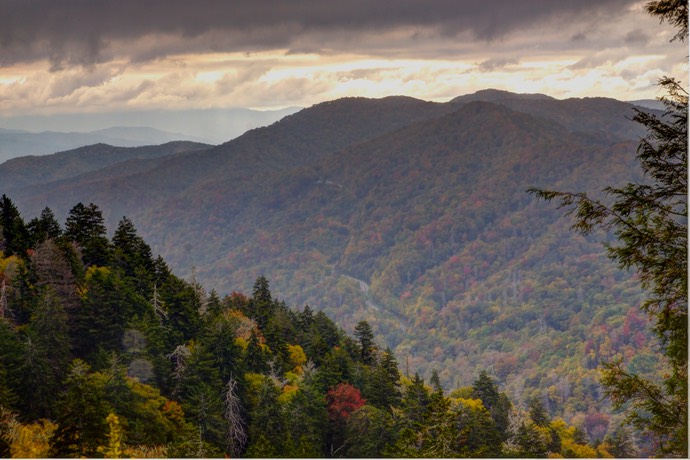 Great smokey mountains