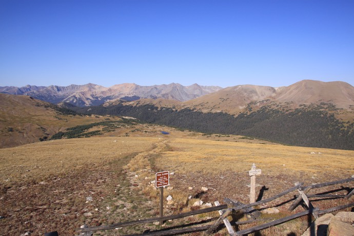 Alpine meadow Rocky Montain np