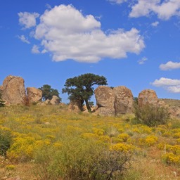 City of rocks