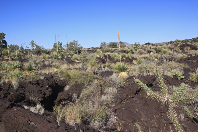 Valley of fires