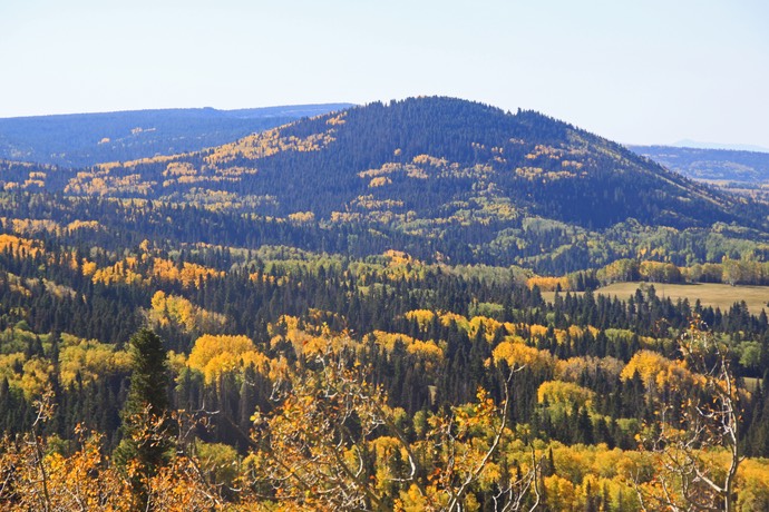 Herfstkleuren