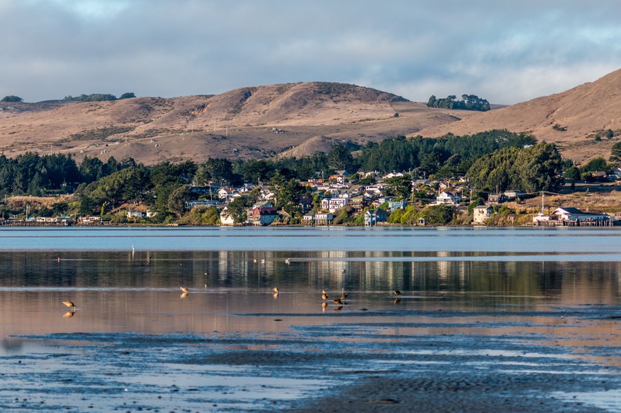 Bodega Bay