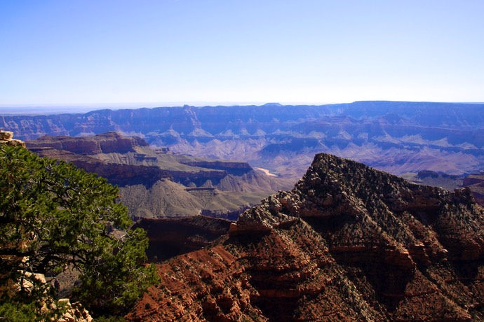 Grand canyon north rim