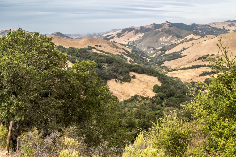 morro-bay-2