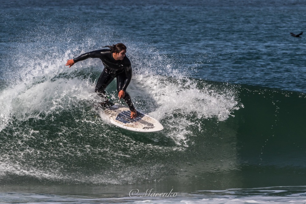 moss-landing-beach-20