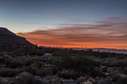 red-rock-mojave-14