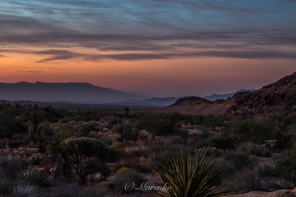 red-rock-mojave-18