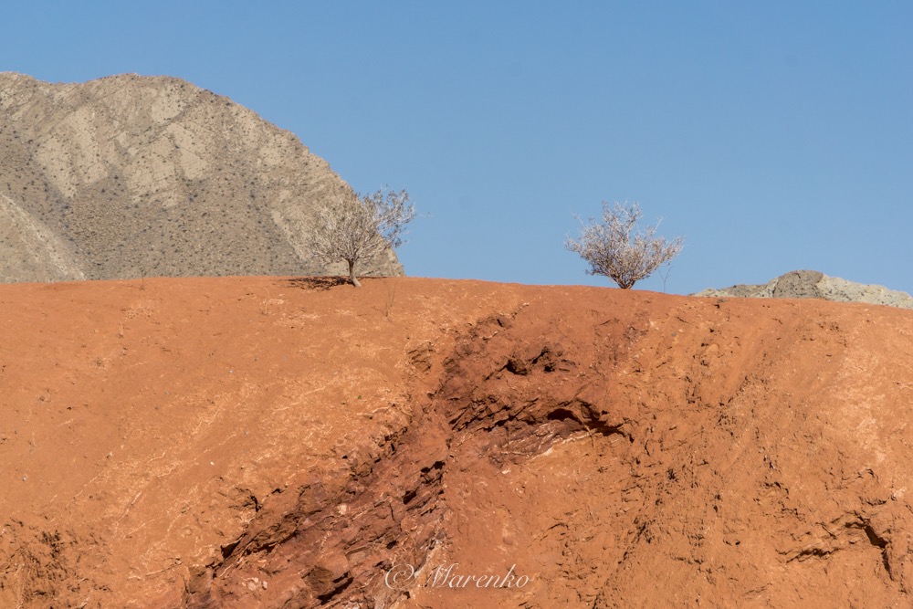 valley-of-fire-2-31