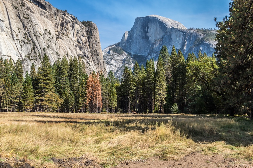 yosemite-221