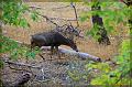 IMG_1365-border