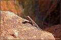 IMG_1392-border