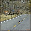 IMG_1590-border