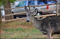 IMG_1668-border