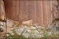 IMG_1671-border