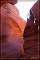 IMG_2084-border