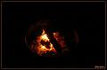 IMG_2089-border
