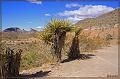 IMG_2256-border