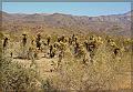 IMG_2335-border