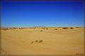 IMG_2344-border