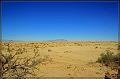 IMG_2346-border