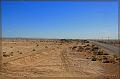 IMG_2347-border