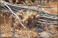 IMG_2358-border