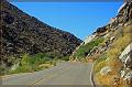 IMG_2363-border