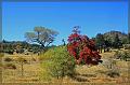 IMG_2376-border