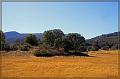 IMG_2394-border