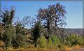 IMG_2397-border
