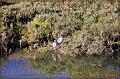 IMG_2425-border