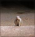 IMG_0808-border