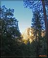 IMG_0822-border
