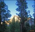 IMG_0824-border