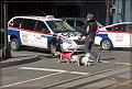 IMG_3052-border