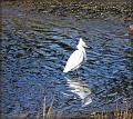 IMG_3105-border
