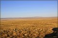 IMG_5962-border