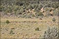 IMG_5992-border