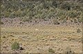 IMG_5993-border