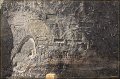 IMG_6030-border