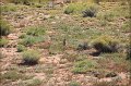 IMG_6082-border