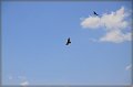 IMG_6219-border