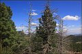 IMG_6239-border