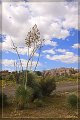 IMG_6262-border